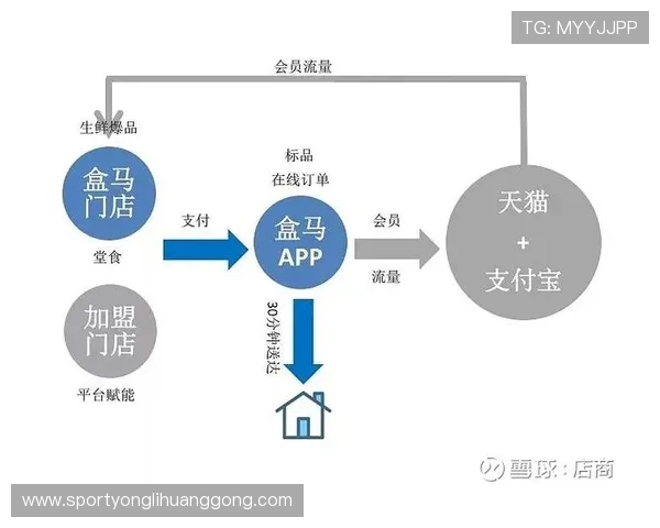打造特色娱乐体验的游艇俱乐部运营策略与成功案例分享
